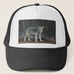 Casquette Chasse de coyote