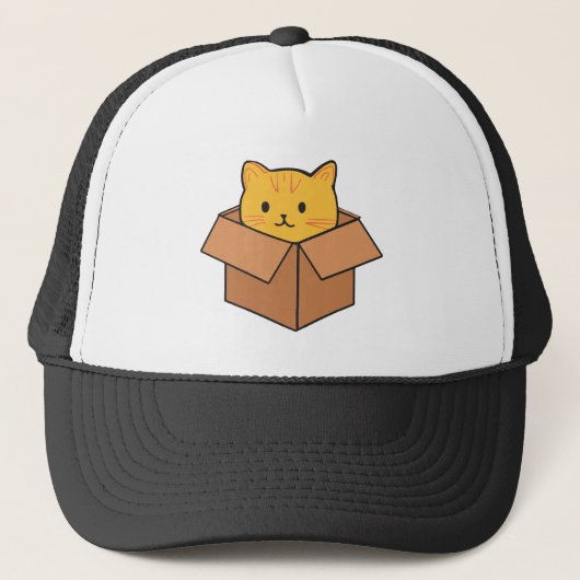 Casquette Chat assis à l'intérieur d'une boîte en carton (Devant)