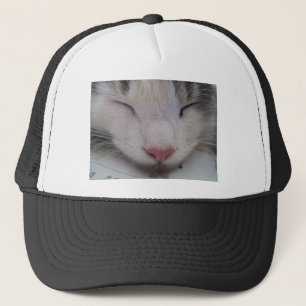 Casquette Chat couché