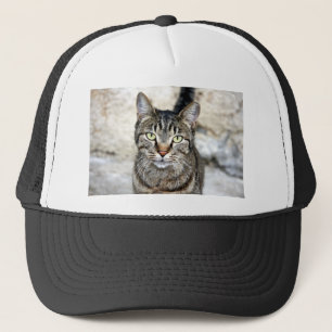 Casquette Chat égyptien