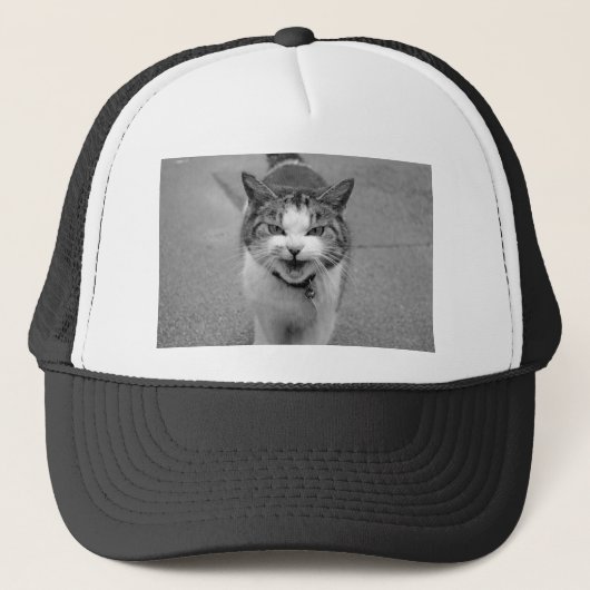 Casquette Chat en colère (Devant)
