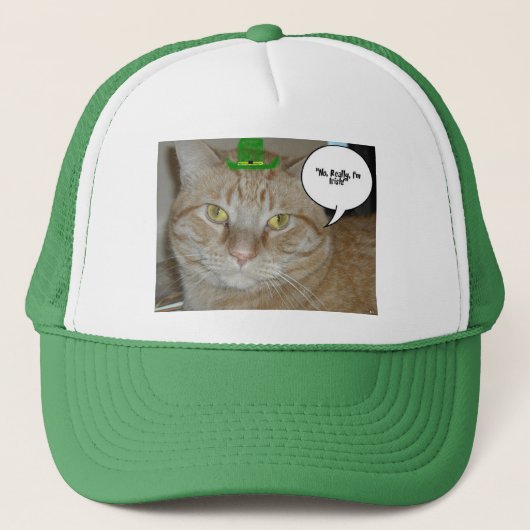 Casquette Chat Jour de la Saint Patrick Orange Tabby (Devant)
