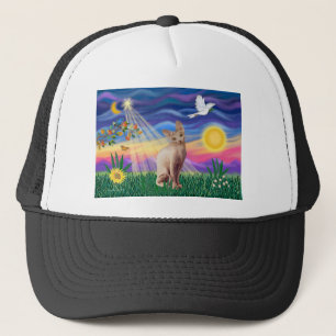 Casquette Chat Sphynx 1 - Crépuscule
