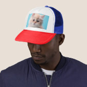 Casquette Chaton adorable avec fond bleu (En situation)