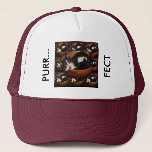 Casquette Chatons dans un bol avec Motif (Devant)