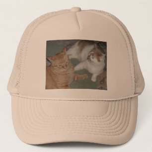 Casquette Chats Tabby Orange