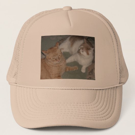 Casquette Chats Tabby Orange (Devant)