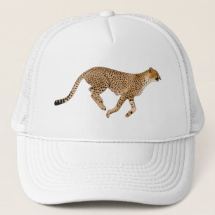 Casquette Cheetah
