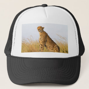 Casquette Cheetah