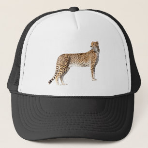 Casquette Cheetah debout