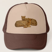 Casquette Cheetahs (Devant)