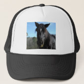 Casquette Cheval à bascule noir secouru (Devant)