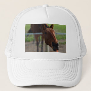 Casquette Cheval aimant la carotte,