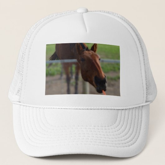Casquette Cheval aimant la carotte, (Devant)