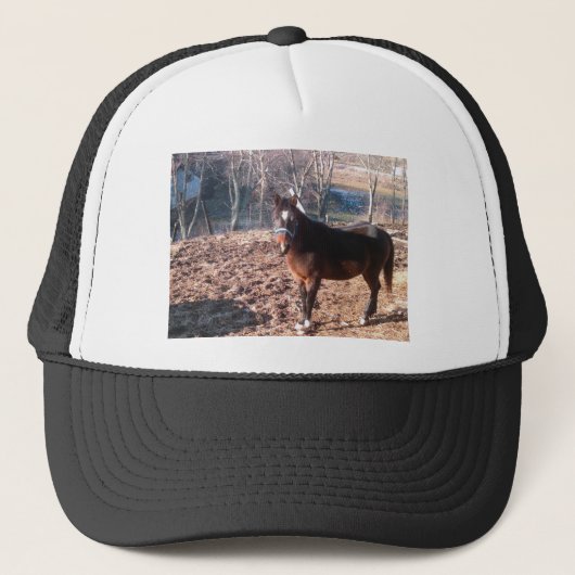 Casquette Cheval Brown (Devant)