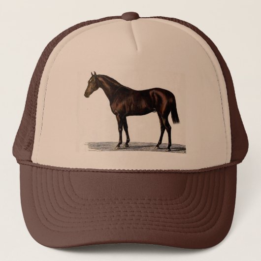 Casquette Cheval Brown (Devant)