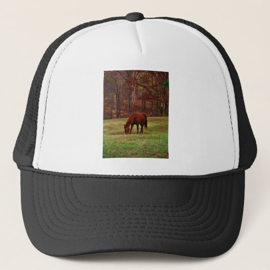 Casquette Cheval Brown avec nez blanc au bord des bois (Devant)
