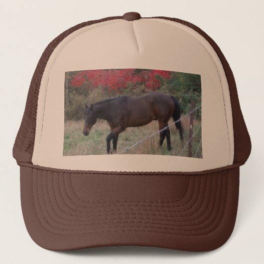 Casquette Cheval Brown dans les arbres d'automne rouges (Devant)