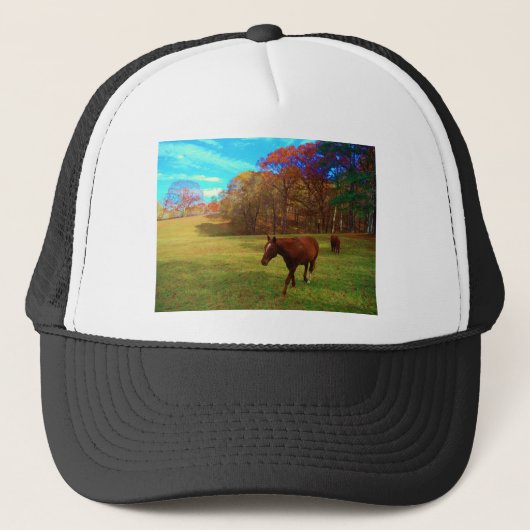 Casquette Cheval Brown dans un champ de couleur arc-en-ciel (Devant)
