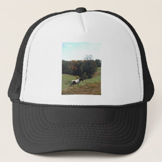Casquette Cheval Brown et blanc à l'étang d'automne