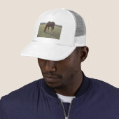 Casquette Cheval couleur châtaignier (En situation)
