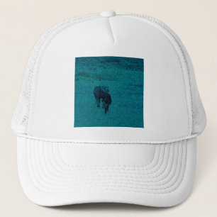 Casquette Cheval et âne
