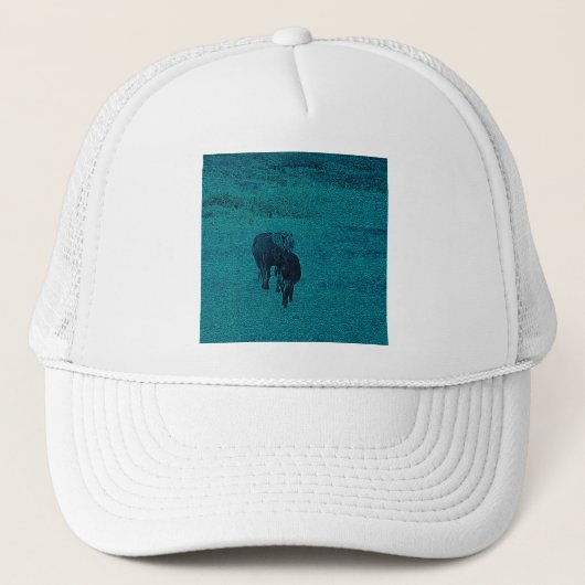 Casquette Cheval et âne (Devant)