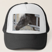 Casquette Cheval miniature (Devant)