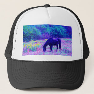 Casquette Cheval noir violet dans le champ Arc-en-ciel