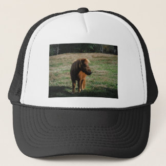 Casquette Chevaux miniatures Brown