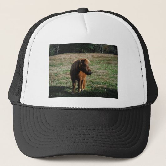 Casquette Chevaux miniatures Brown (Devant)