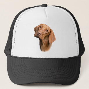 Casquette Chien Brown pointeur germanique