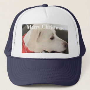 Casquette Chien chiot blanc mignon portant l'écharpe Noël