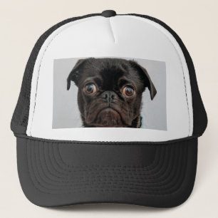 Casquette chien d'affaires