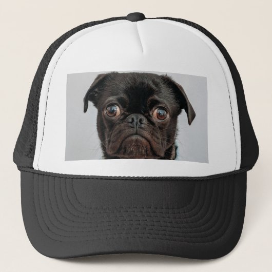 Casquette chien d'affaires (Devant)