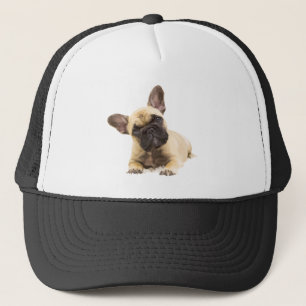 Casquette Chien de Chien de France Animaux Animaux Personnal