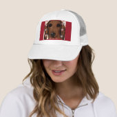 CASQUETTE CHIEN DE CHIEN ROUGE (En situation)