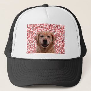 Casquette Chien d'or de rétritrice souriant de Noël