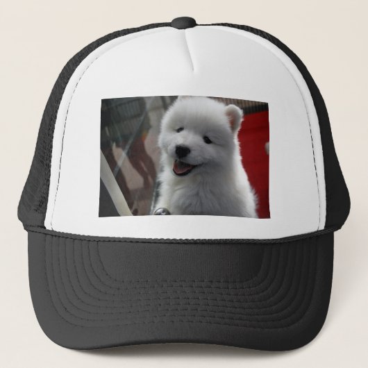 Casquette Chien Samoyède (Devant)