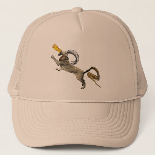 Casquette Chimera