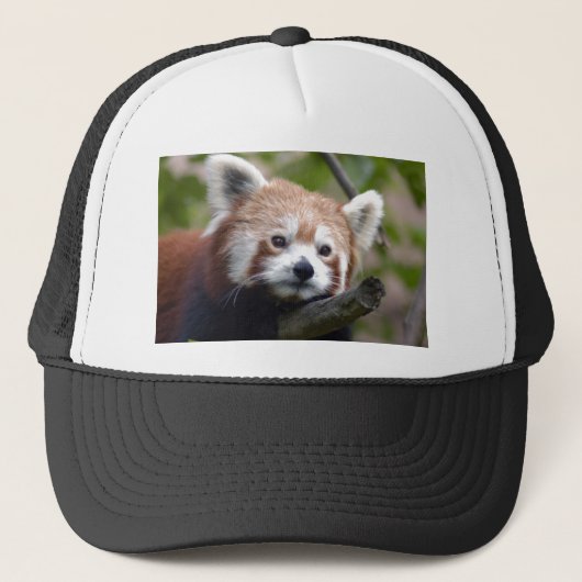 Casquette Chinois rouge panda4x6 (Devant)