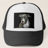 Casquette Chiot bleu de Pitbull (Devant)
