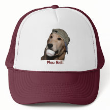 Chiot de baseball Golden Retriever