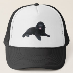 Casquette Chiot de Terre-Neuve
