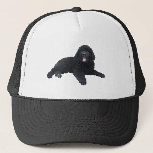 Casquette Chiot de Terre-Neuve (Devant)
