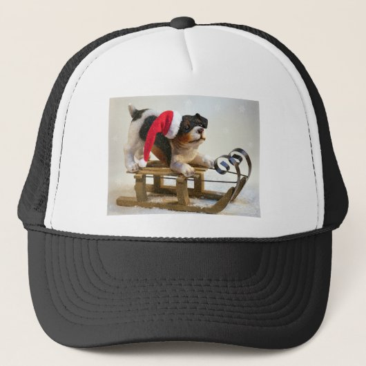 Casquette Chiot sur un traîneau (Devant)