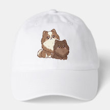 Chiots Poméraniens 