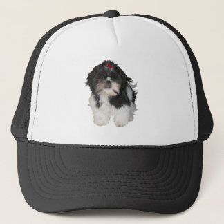 Casquette Chiots Shitzu Shih Tzu