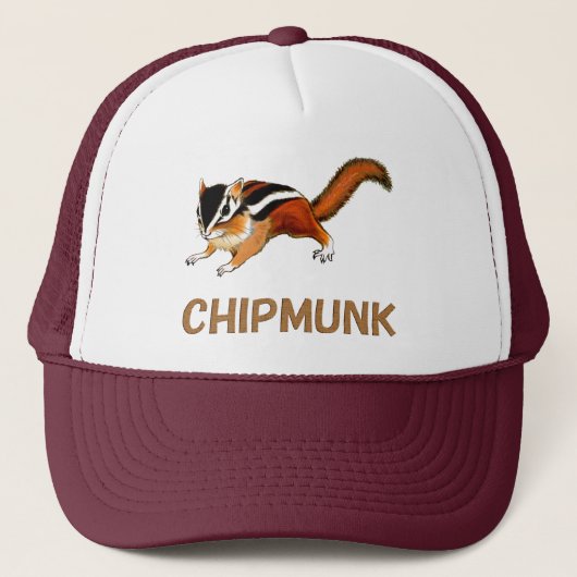 Casquette Chipmunk　illustration　(2) (Devant)