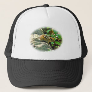 Casquette Chipmunk oriental sur Stump